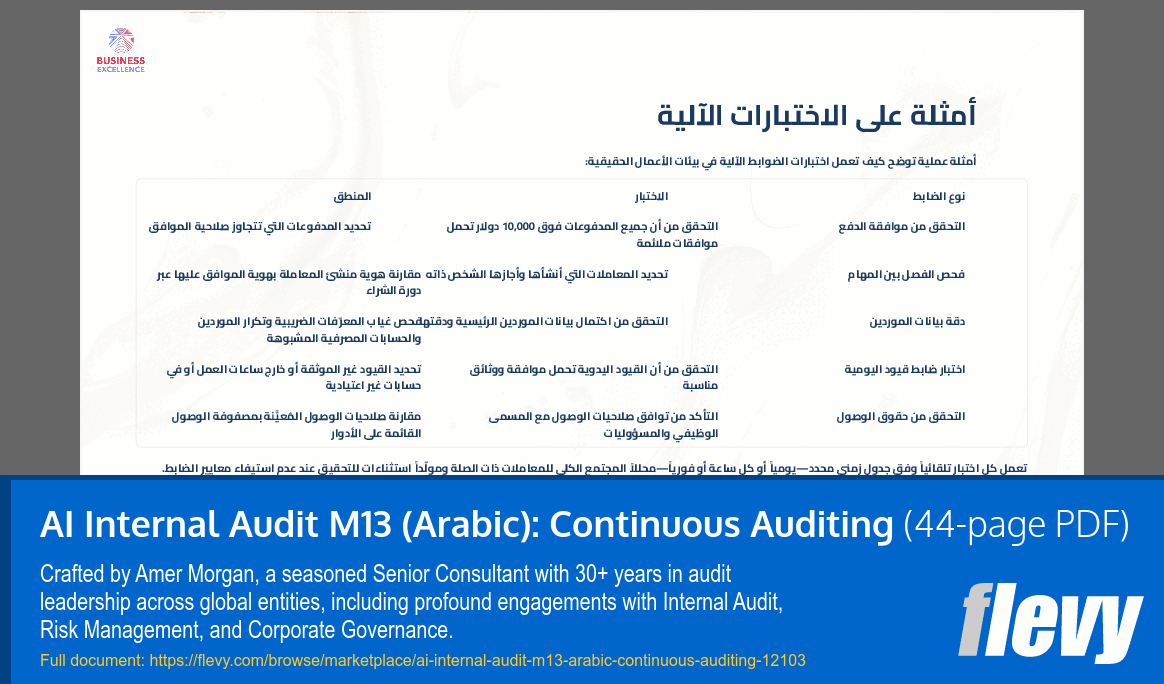 AI Internal Audit M13 (Arabic): Continuous Auditing (44-page PDF document) Preview Image