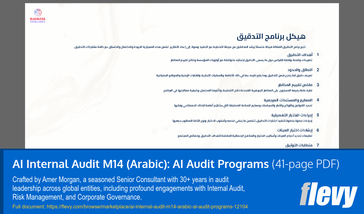 AI Internal Audit M14 (Arabic): AI Audit Programs (41-page PDF document) Preview Image