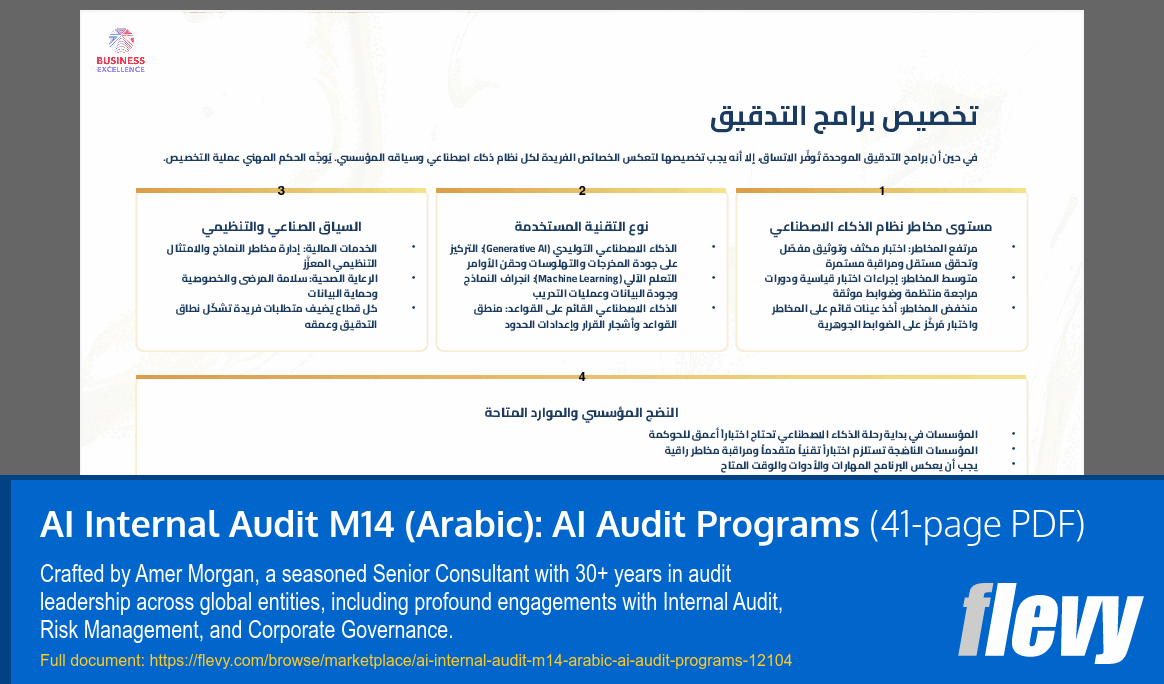 AI Internal Audit M14 (Arabic): AI Audit Programs (41-page PDF document) Preview Image
