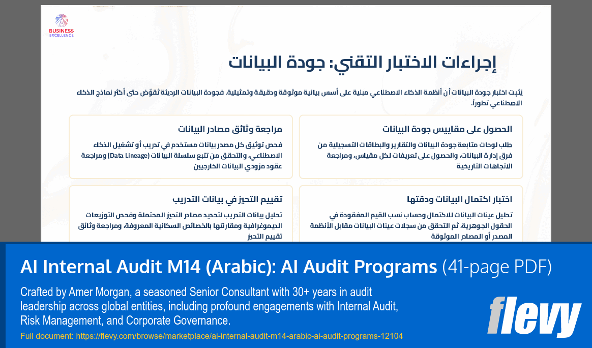 AI Internal Audit M14 (Arabic): AI Audit Programs (41-page PDF document) Preview Image