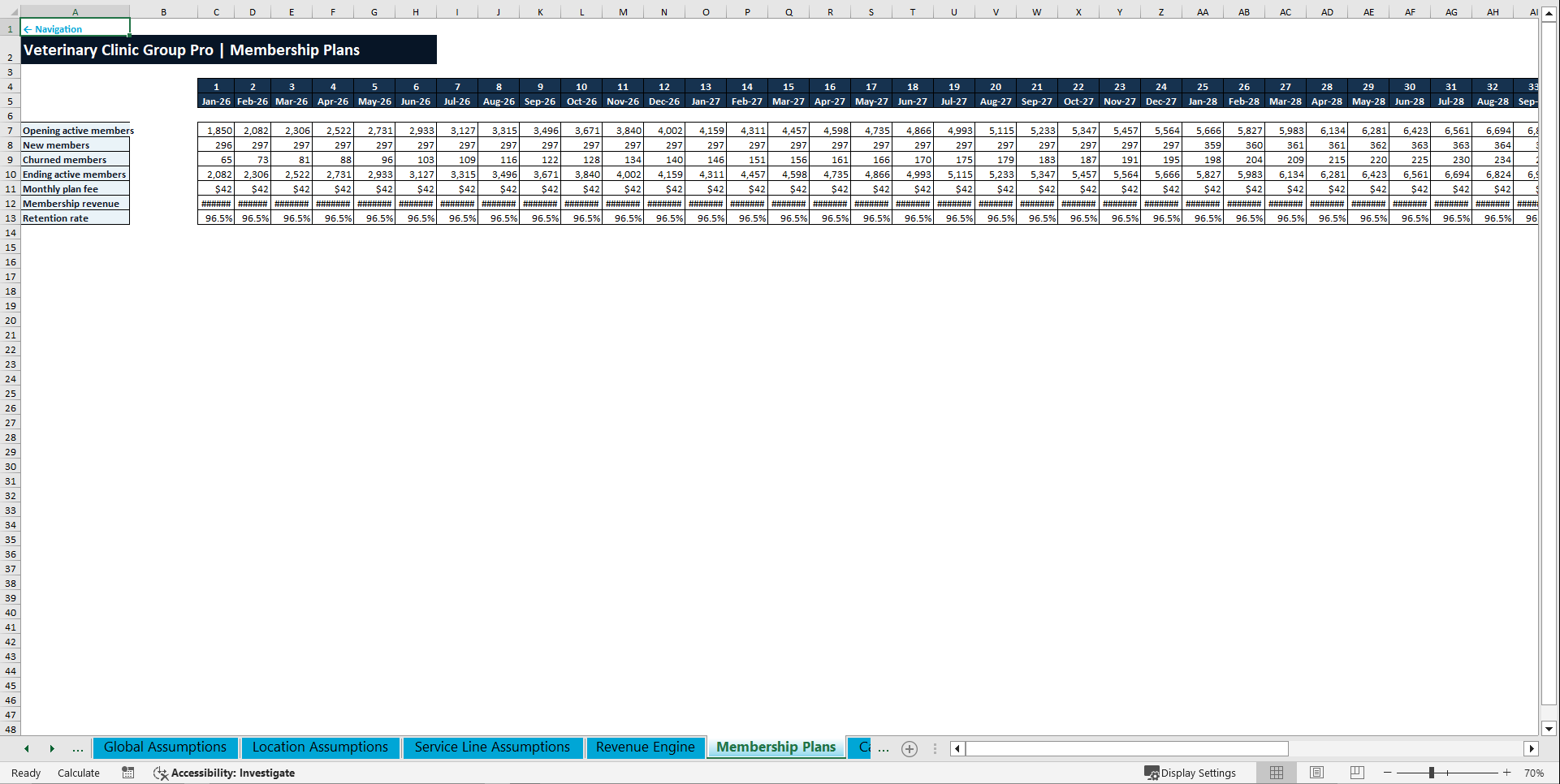 Veterinary Clinic Financial Model – 5-Year Multi-Location (Excel template (XLSX)) Preview Image