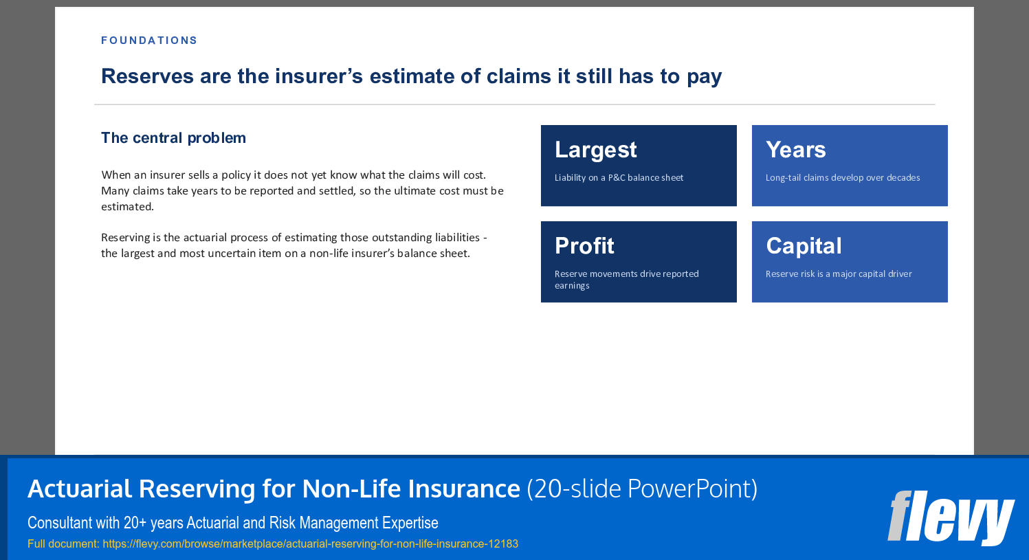Actuarial Reserving for Non-Life Insurance (20-slide PPT PowerPoint presentation template (PPTX)) Preview Image