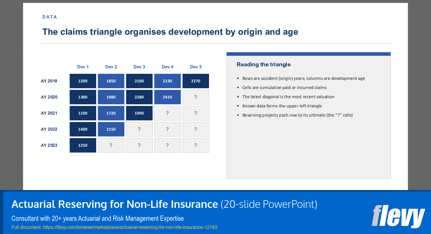 Actuarial Reserving for Non-Life Insurance (20-slide PPT PowerPoint presentation template (PPTX)) Preview Image