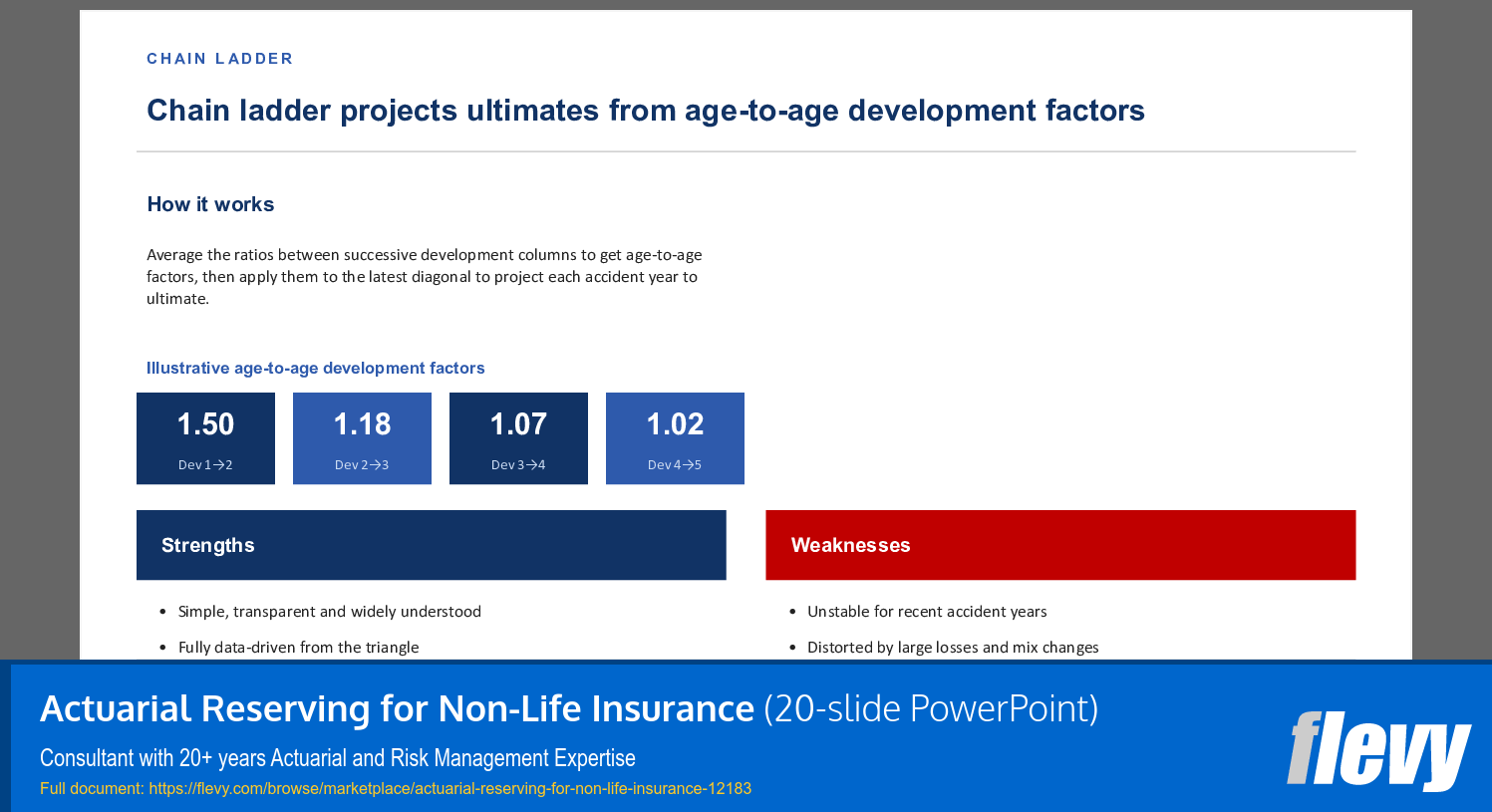 Actuarial Reserving for Non-Life Insurance (20-slide PPT PowerPoint presentation template (PPTX)) Preview Image