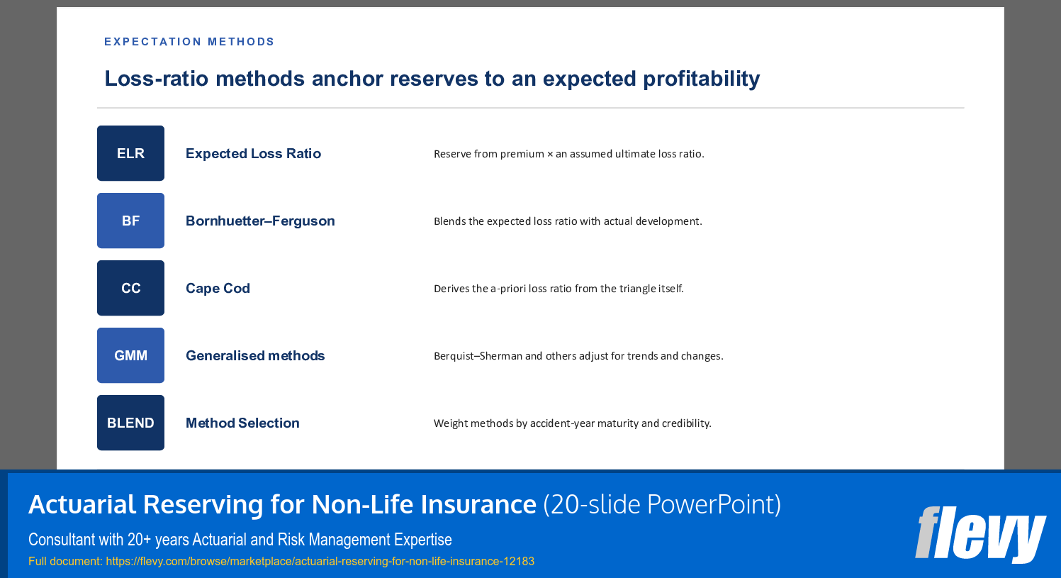 Actuarial Reserving for Non-Life Insurance (20-slide PPT PowerPoint presentation template (PPTX)) Preview Image