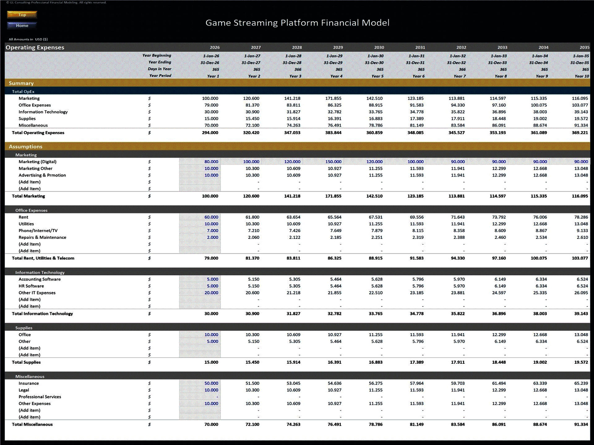Game Streaming Platform – 10 Year Financial Model (Excel template (XLSX)) Preview Image