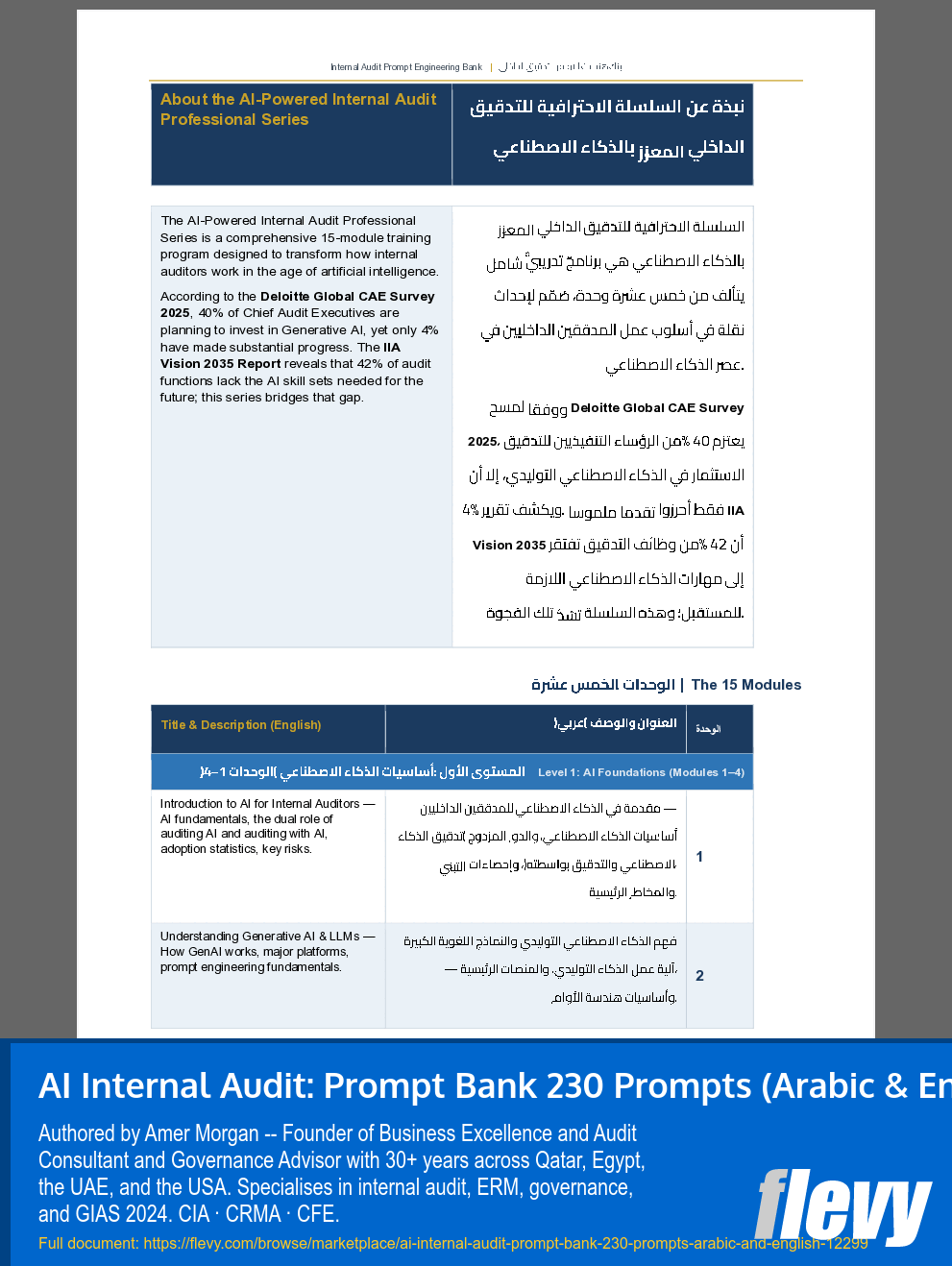 AI Internal Audit: Prompt Bank 230 Prompts (Arabic & English) (288-page PDF document) Preview Image