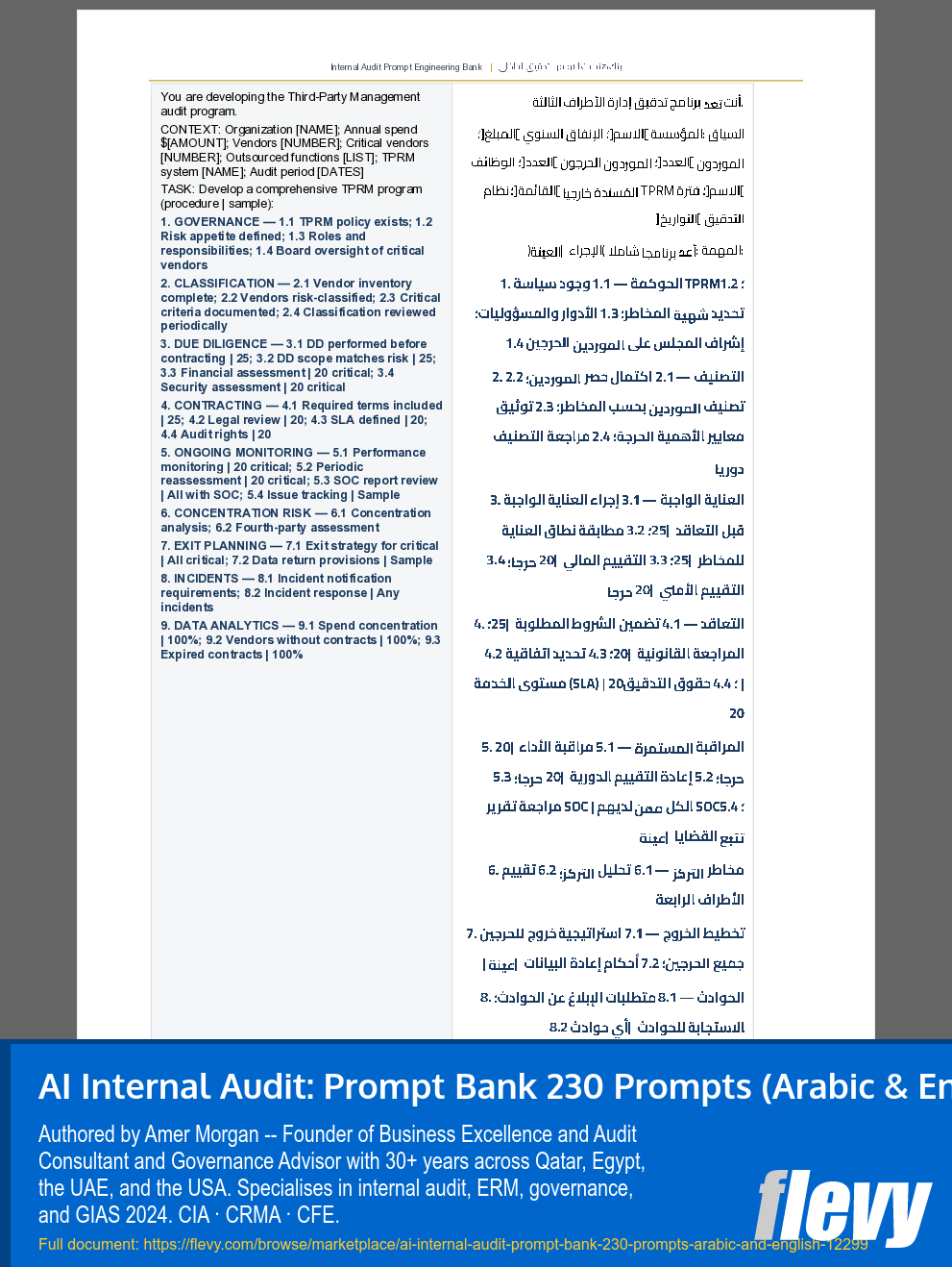 AI Internal Audit: Prompt Bank 230 Prompts (Arabic & English) (288-page PDF document) Preview Image