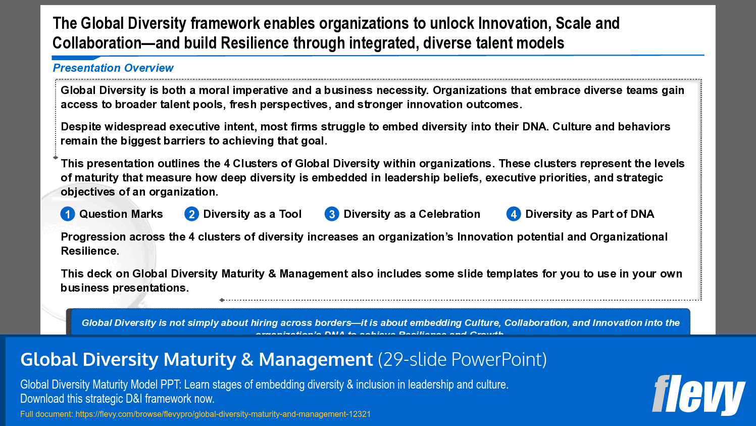 Global Diversity Maturity & Management (29-slide PPT PowerPoint presentation template (PPTX)) Preview Image