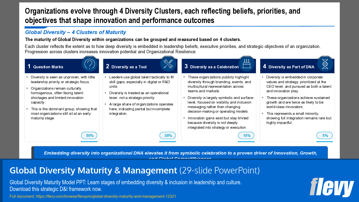 Global Diversity Maturity & Management (29-slide PPT PowerPoint presentation template (PPTX)) Preview Image