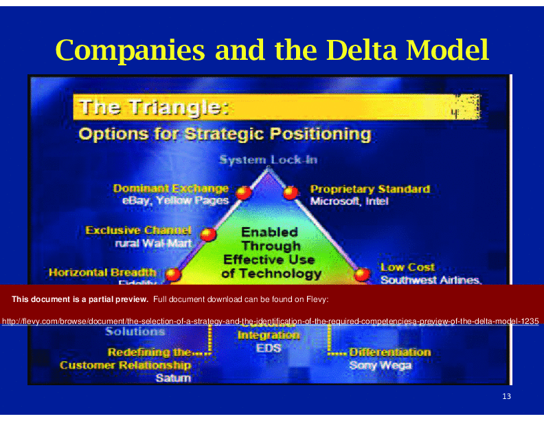 Delta Model Framework - Strategy Selection and Competencies Identification (42-page PDF document) Preview Image