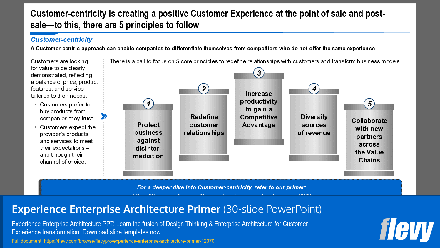 Experience Enterprise Architecture Primer (30-slide PPT PowerPoint presentation template (PPTX)) Preview Image