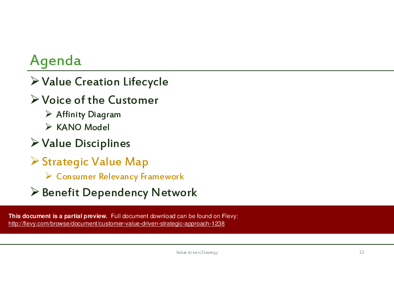 Customer Value Driven Strategic Approach (38-page PDF document) Preview Image
