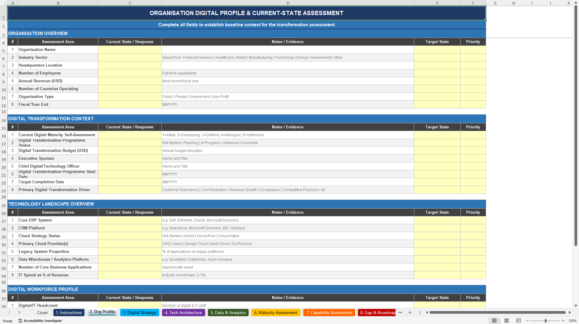 Digital Transformation Assessment Toolkit (Excel template (XLSX)) Preview Image