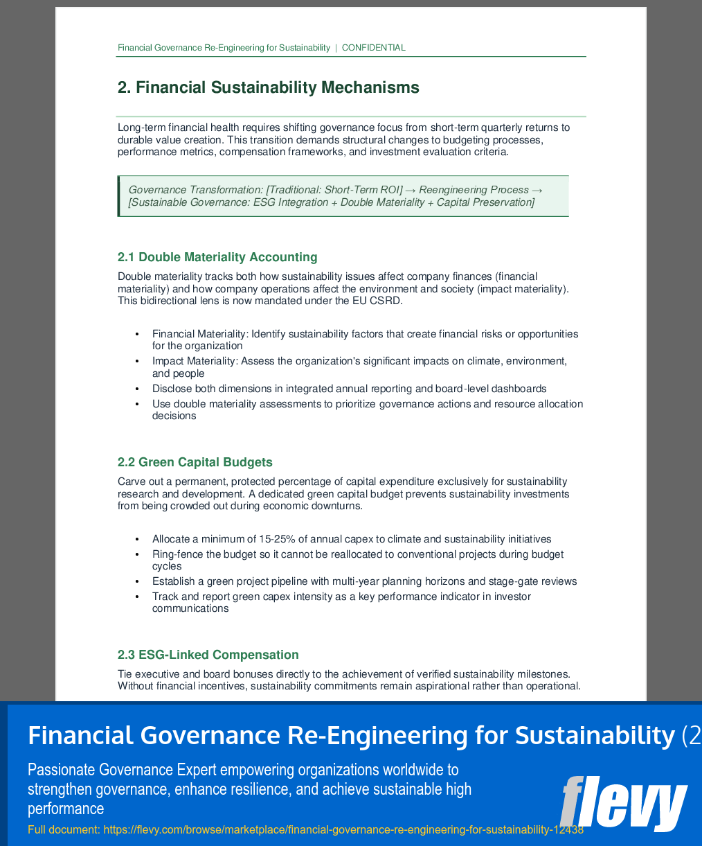 Financial Governance Re-Engineering for Sustainability (22-page PDF document) Preview Image