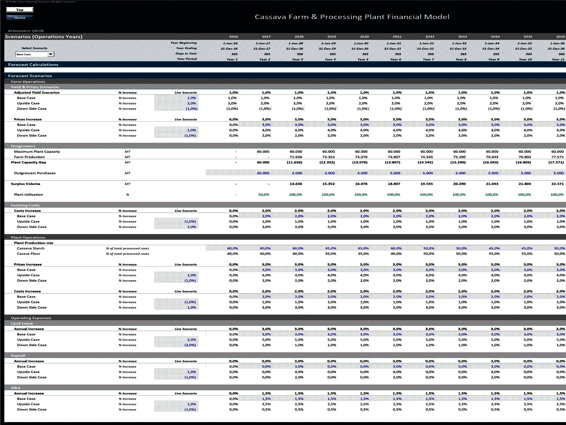 Cassava Farm & Processing Facility – 15 Year Financial Model (Excel template (XLSX)) Preview Image