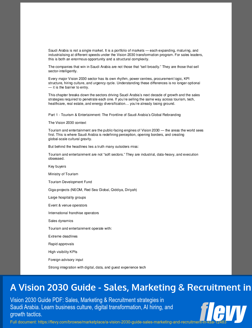 A Vision 2030 Guide - Sales, Marketing & Recruitment in KSA (94-page PDF document) Preview Image