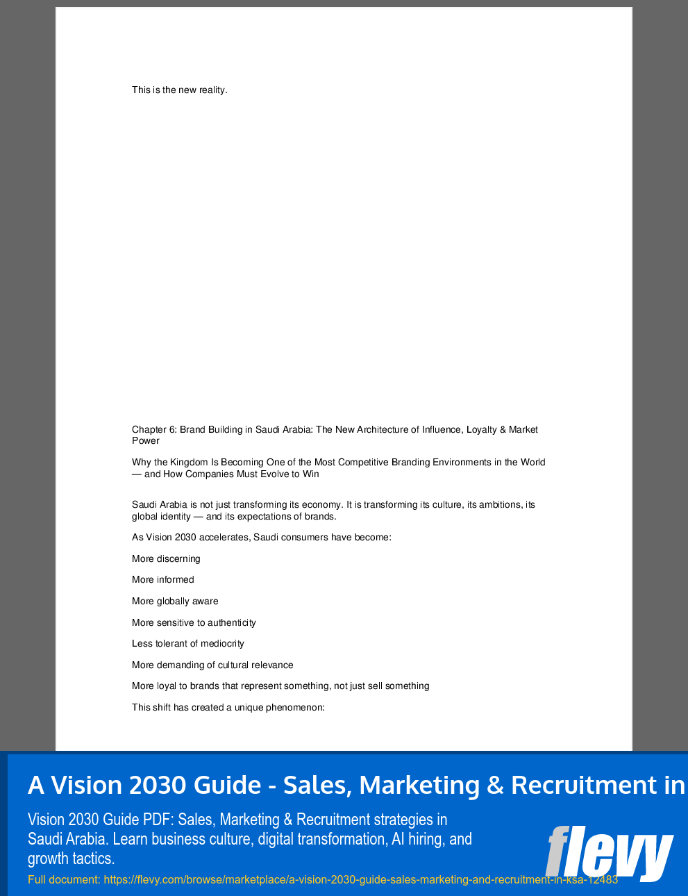 A Vision 2030 Guide - Sales, Marketing & Recruitment in KSA (94-page PDF document) Preview Image