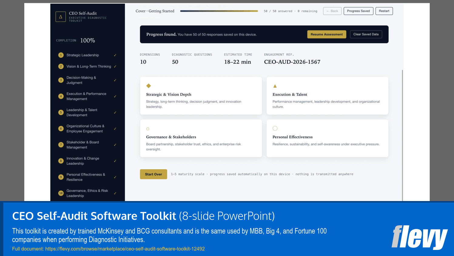 CEO Self-Audit Software Toolkit (8-slide PPT PowerPoint presentation template (PPTX)) Preview Image