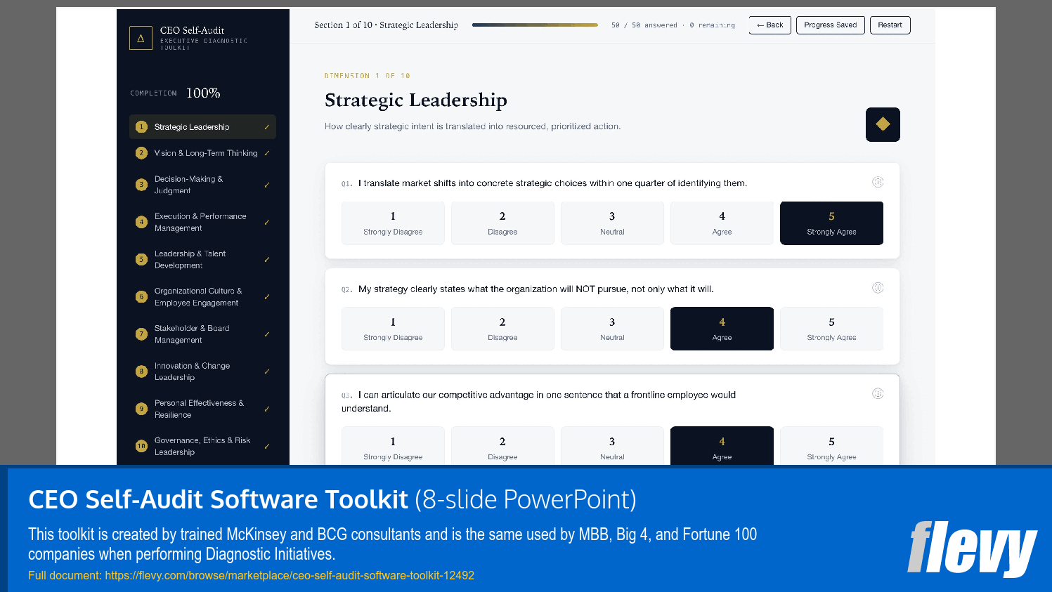 CEO Self-Audit Software Toolkit (8-slide PPT PowerPoint presentation template (PPTX)) Preview Image