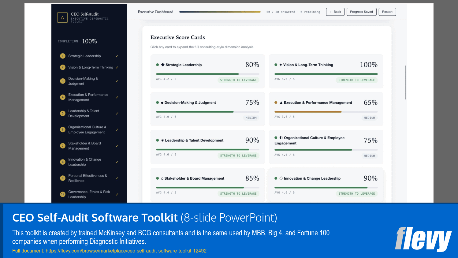 CEO Self-Audit Software Toolkit (8-slide PPT PowerPoint presentation template (PPTX)) Preview Image