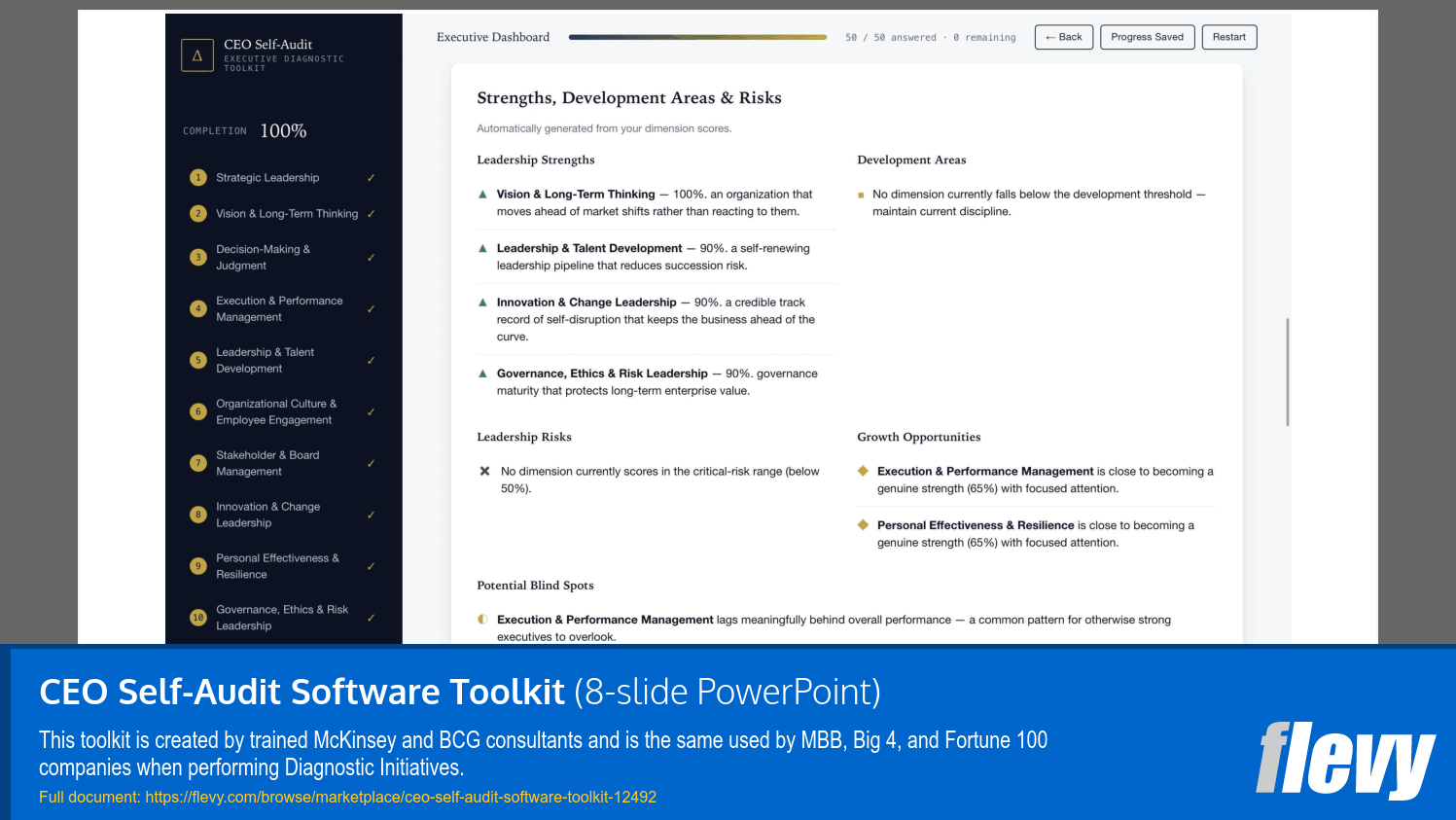 CEO Self-Audit Software Toolkit (8-slide PPT PowerPoint presentation template (PPTX)) Preview Image