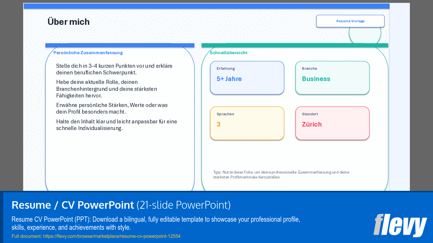 Resume / CV Template (21-slide PPT PowerPoint presentation template (PPTX)) Preview Image