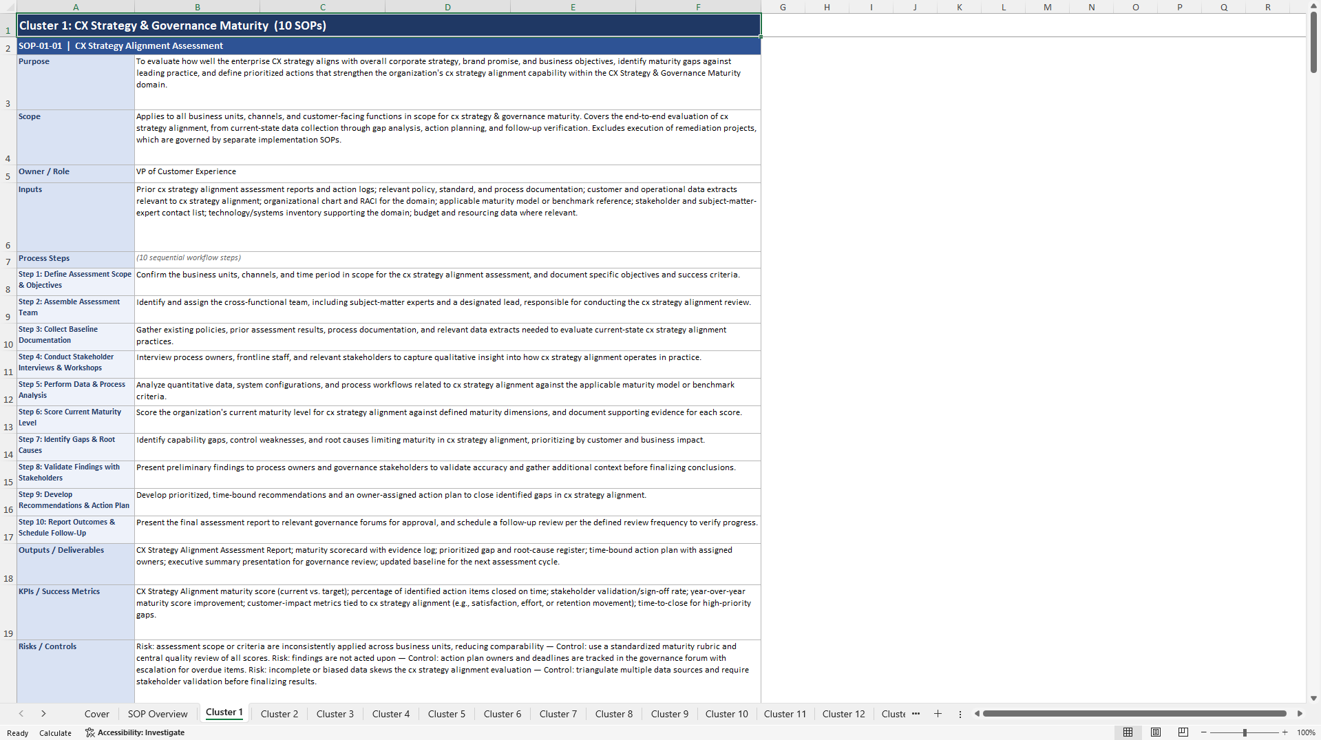 100+ Customer Experience Maturity Assessment SOPs (Excel template (XLSX)) Preview Image