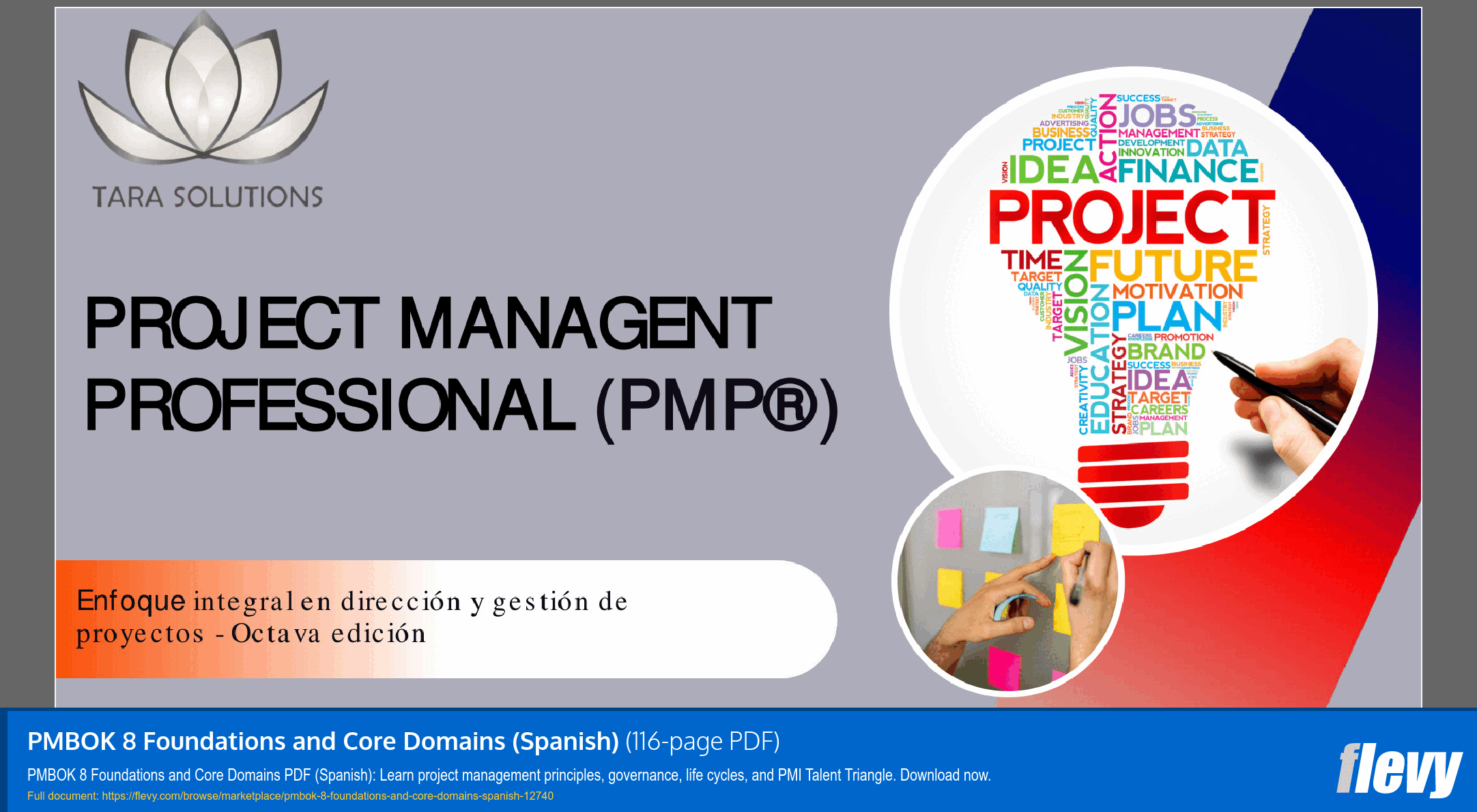 PMBOK 8 Foundations and Core Domains (Spanish) (116-page PDF document) Preview Image