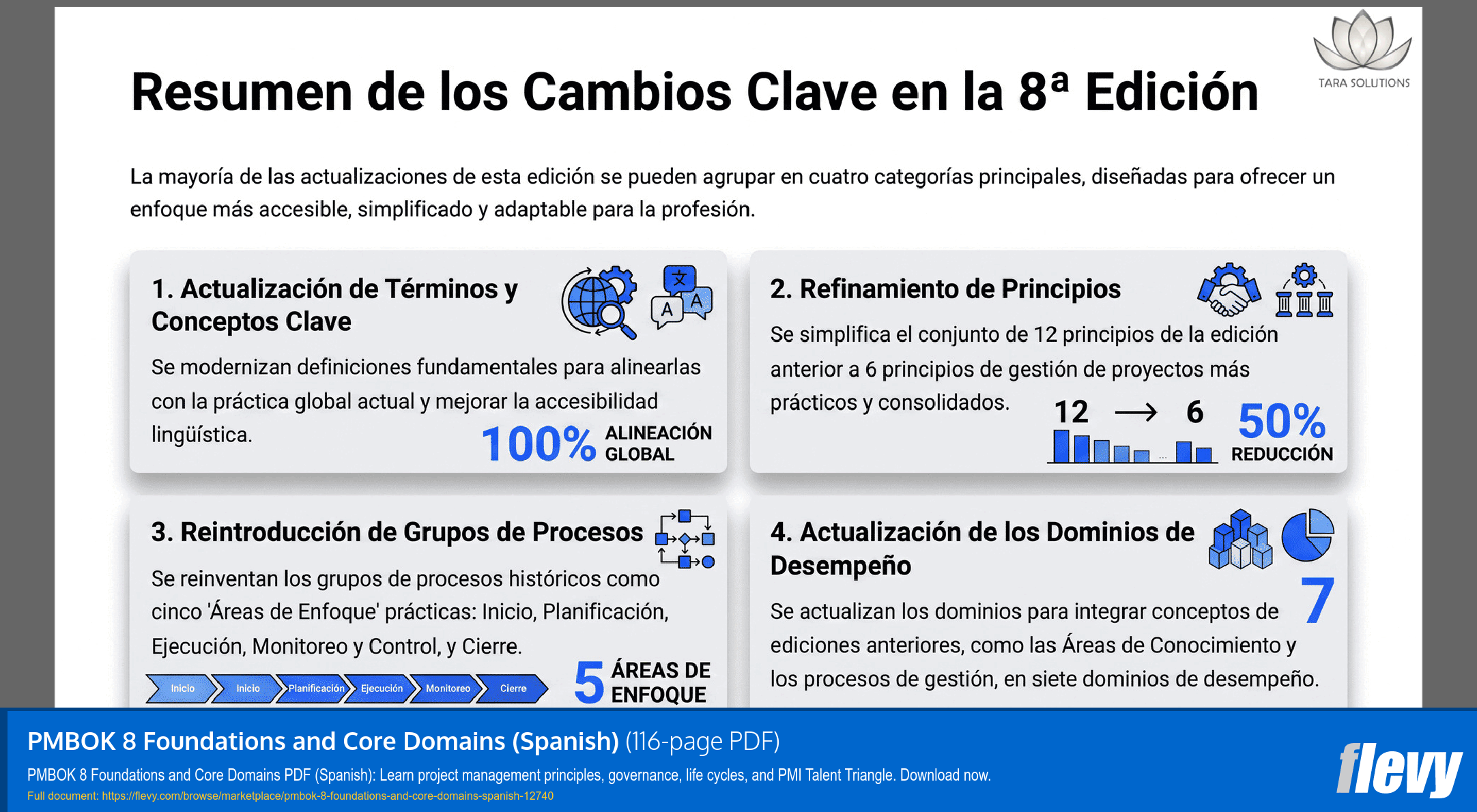 PMBOK 8 Foundations and Core Domains (Spanish) (116-page PDF document) Preview Image