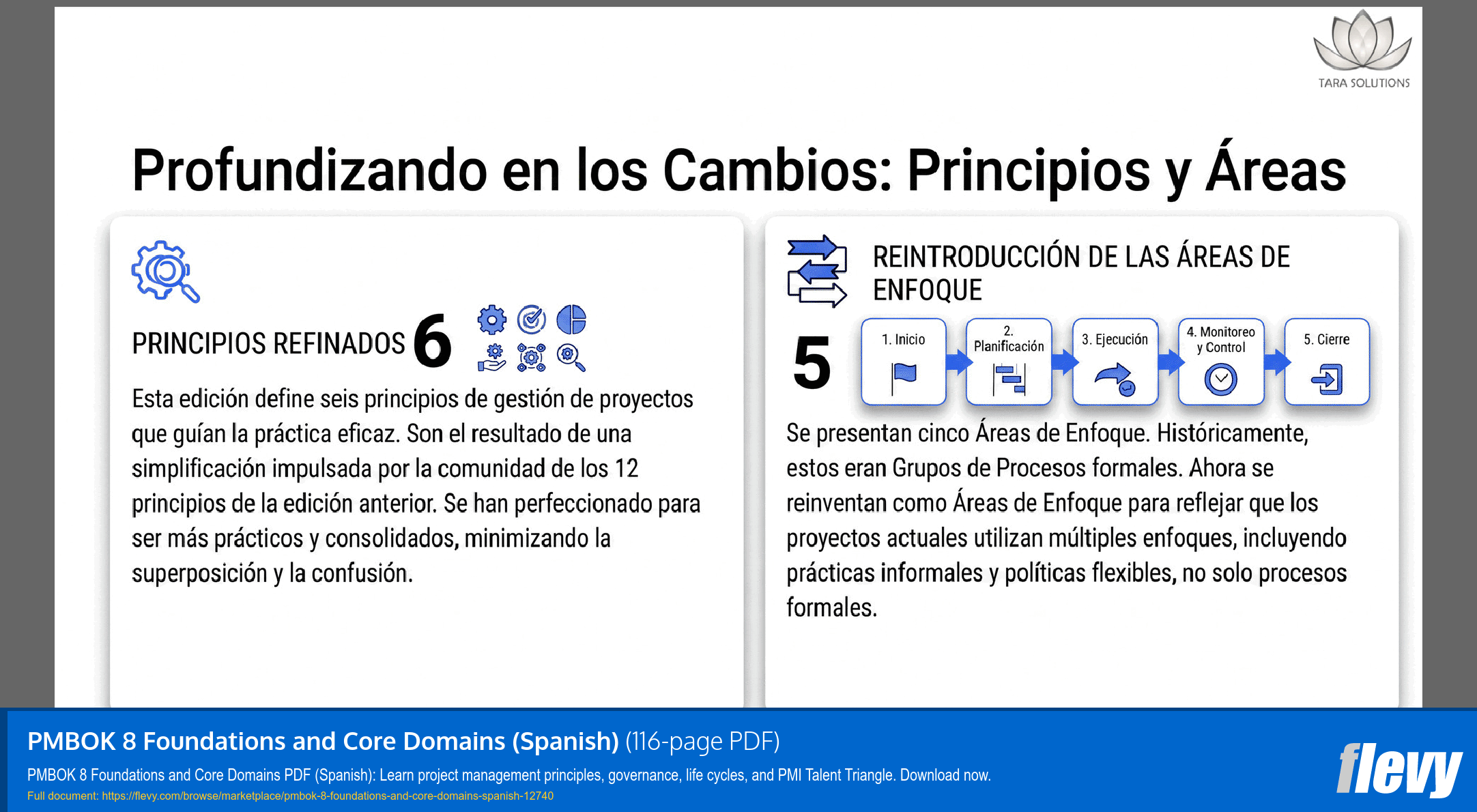 PMBOK 8 Foundations and Core Domains (Spanish) (116-page PDF document) Preview Image