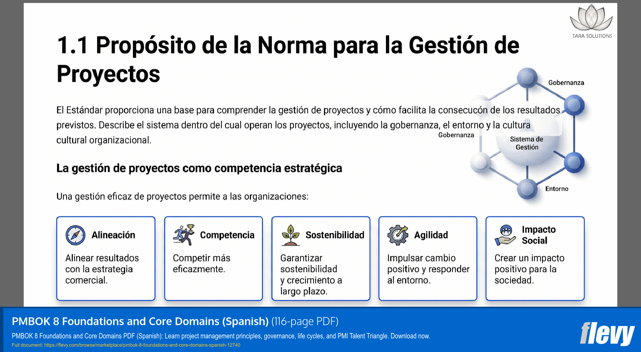 PMBOK 8 Foundations and Core Domains (Spanish) (116-page PDF document) Preview Image
