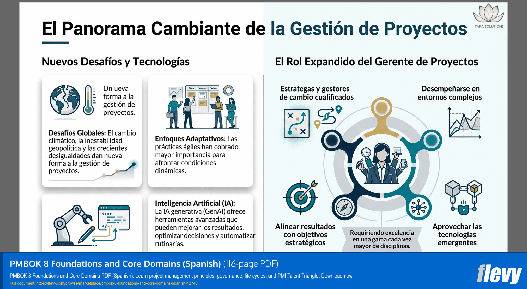 PMBOK 8 Foundations and Core Domains (Spanish) (116-page PDF document) Preview Image