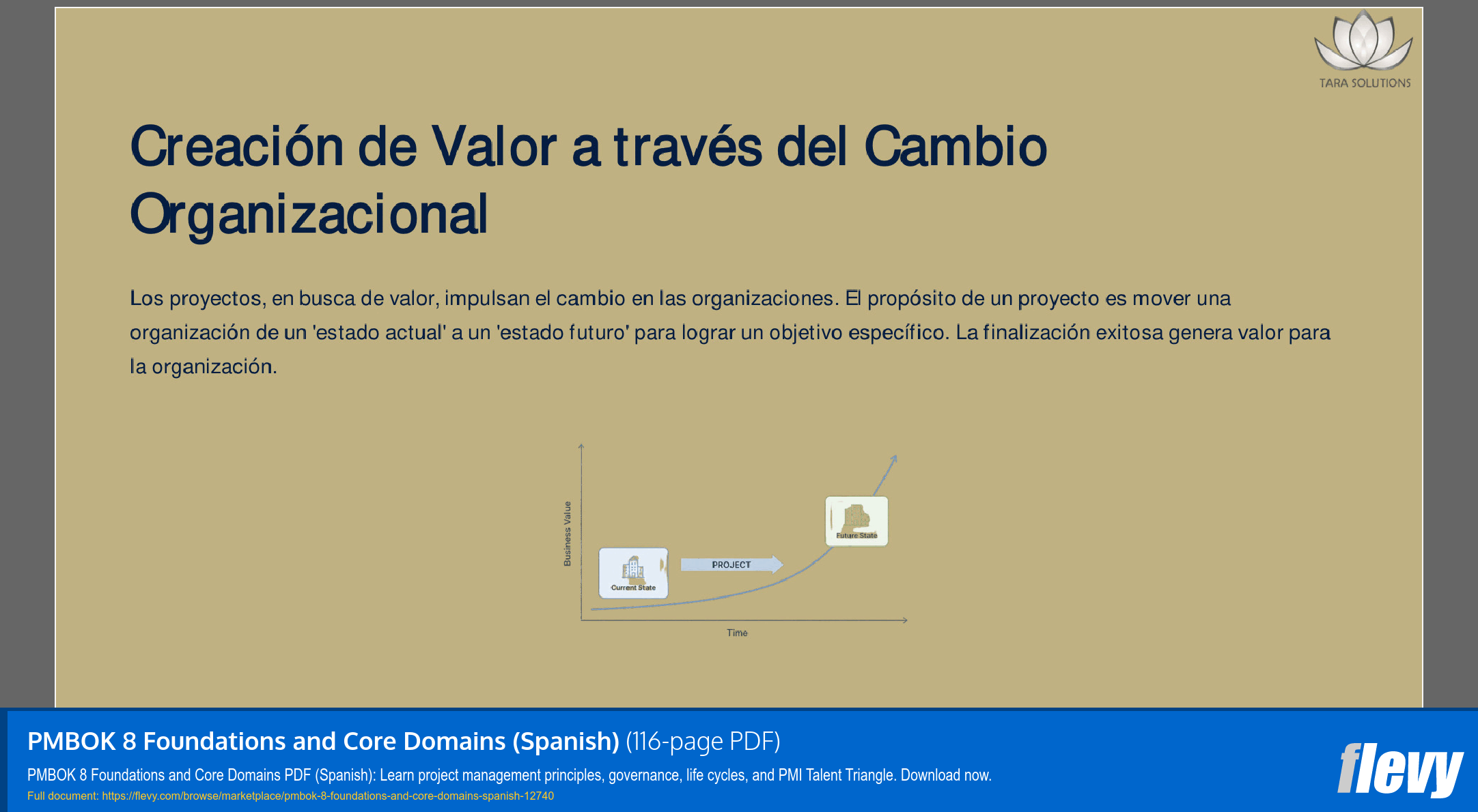 PMBOK 8 Foundations and Core Domains (Spanish) (116-page PDF document) Preview Image