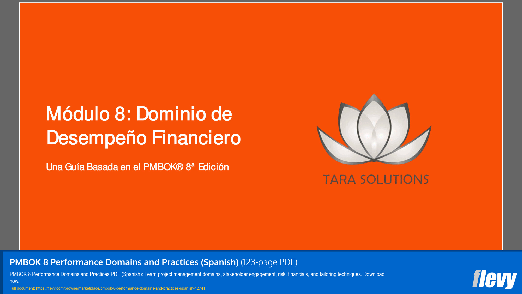 PMBOK 8 Performance Domains and Practices (Spanish) (123-page PDF document) Preview Image