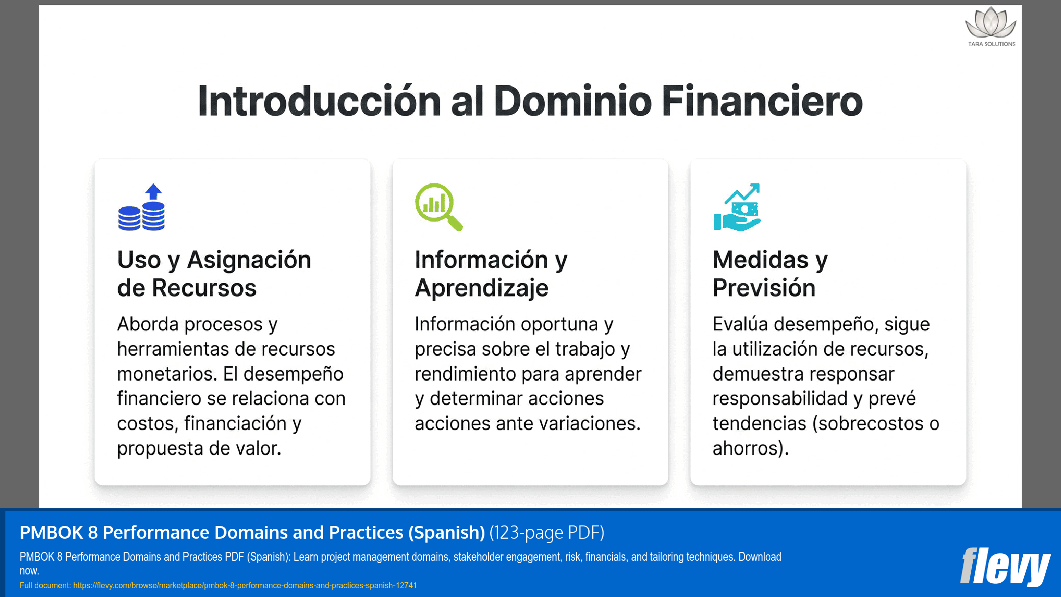 PMBOK 8 Performance Domains and Practices (Spanish) (123-page PDF document) Preview Image