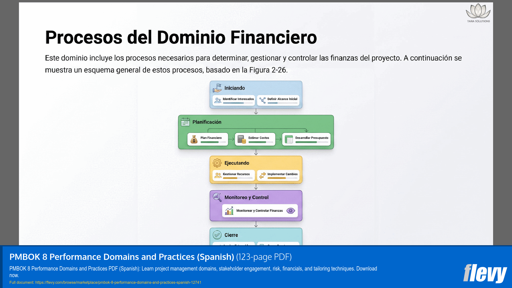 PMBOK 8 Performance Domains and Practices (Spanish) (123-page PDF document) Preview Image