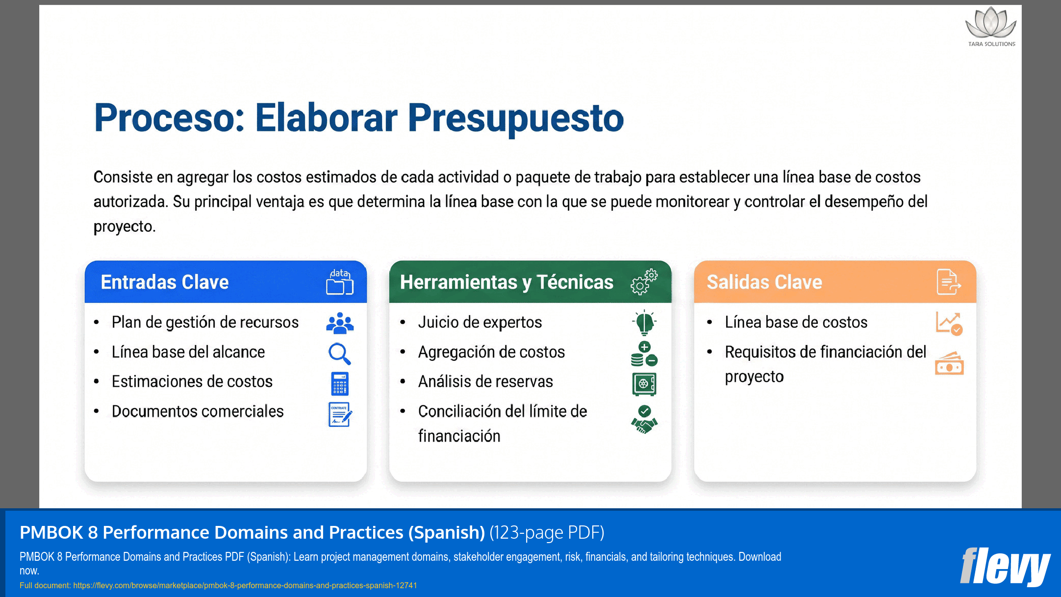 PMBOK 8 Performance Domains and Practices (Spanish) (123-page PDF document) Preview Image