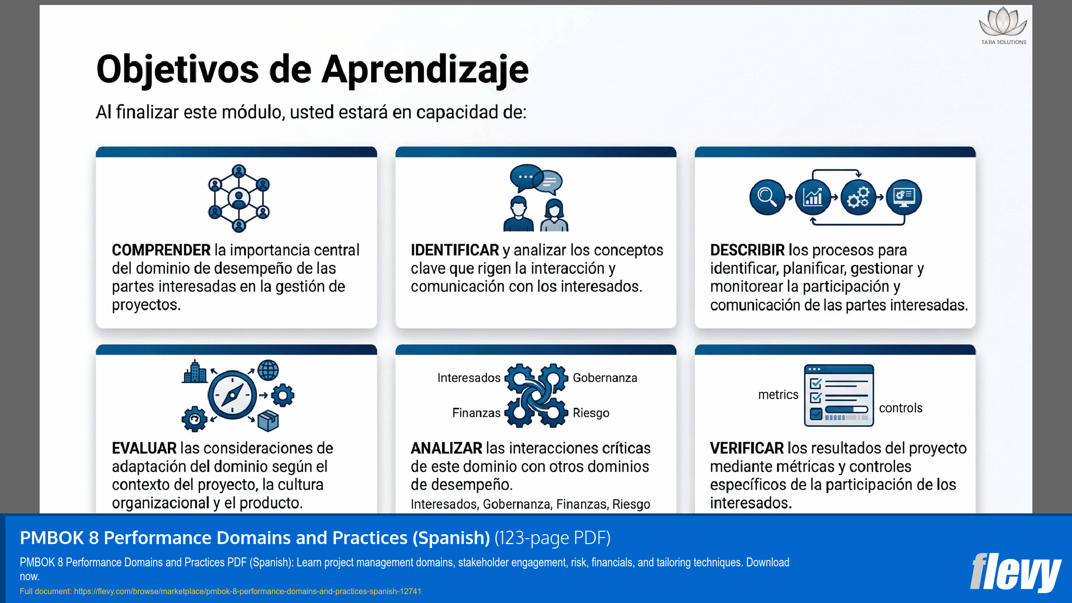 PMBOK 8 Performance Domains and Practices (Spanish) (123-page PDF document) Preview Image