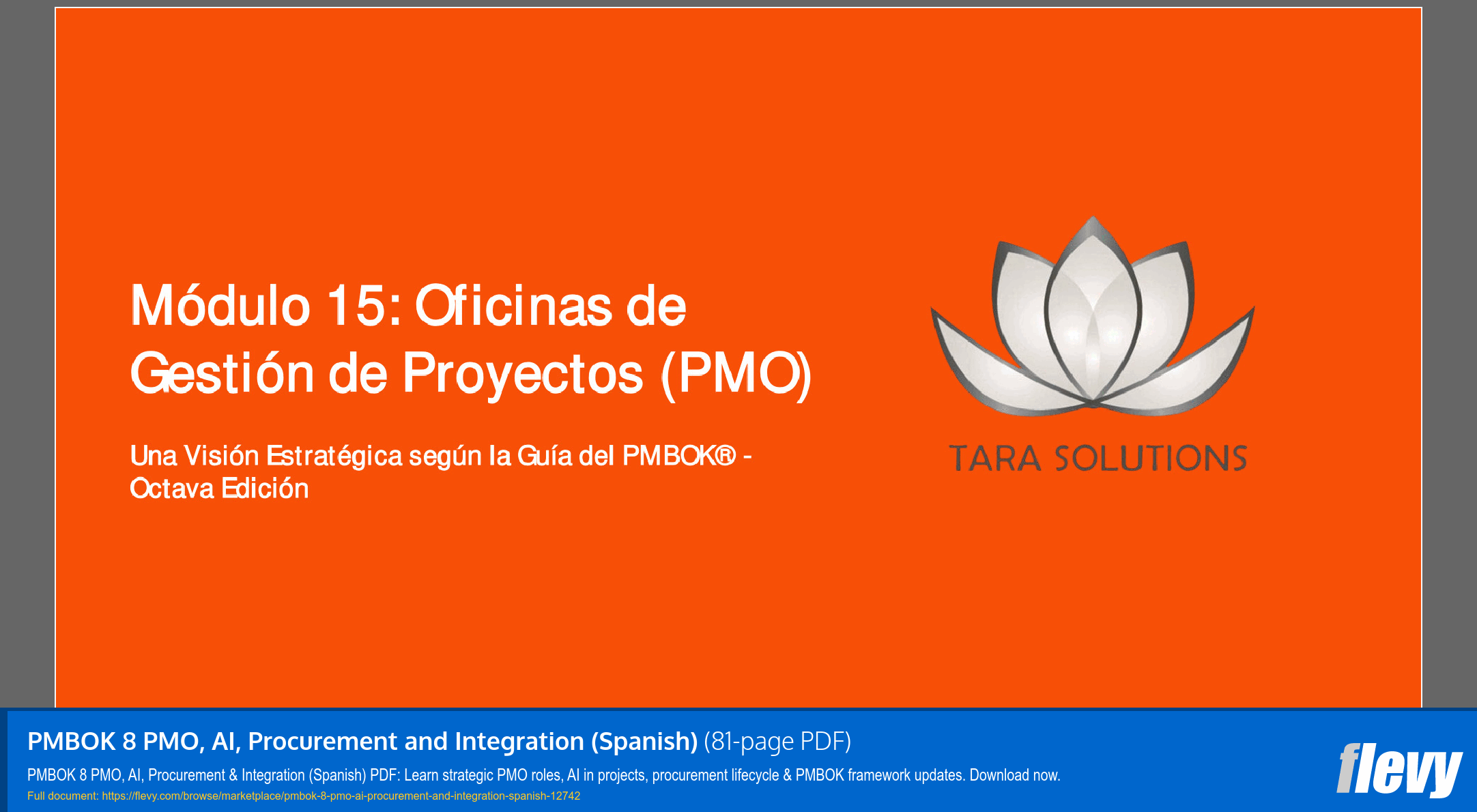 PMBOK 8 PMO, AI, Procurement and Integration (Spanish) (81-page PDF document) Preview Image