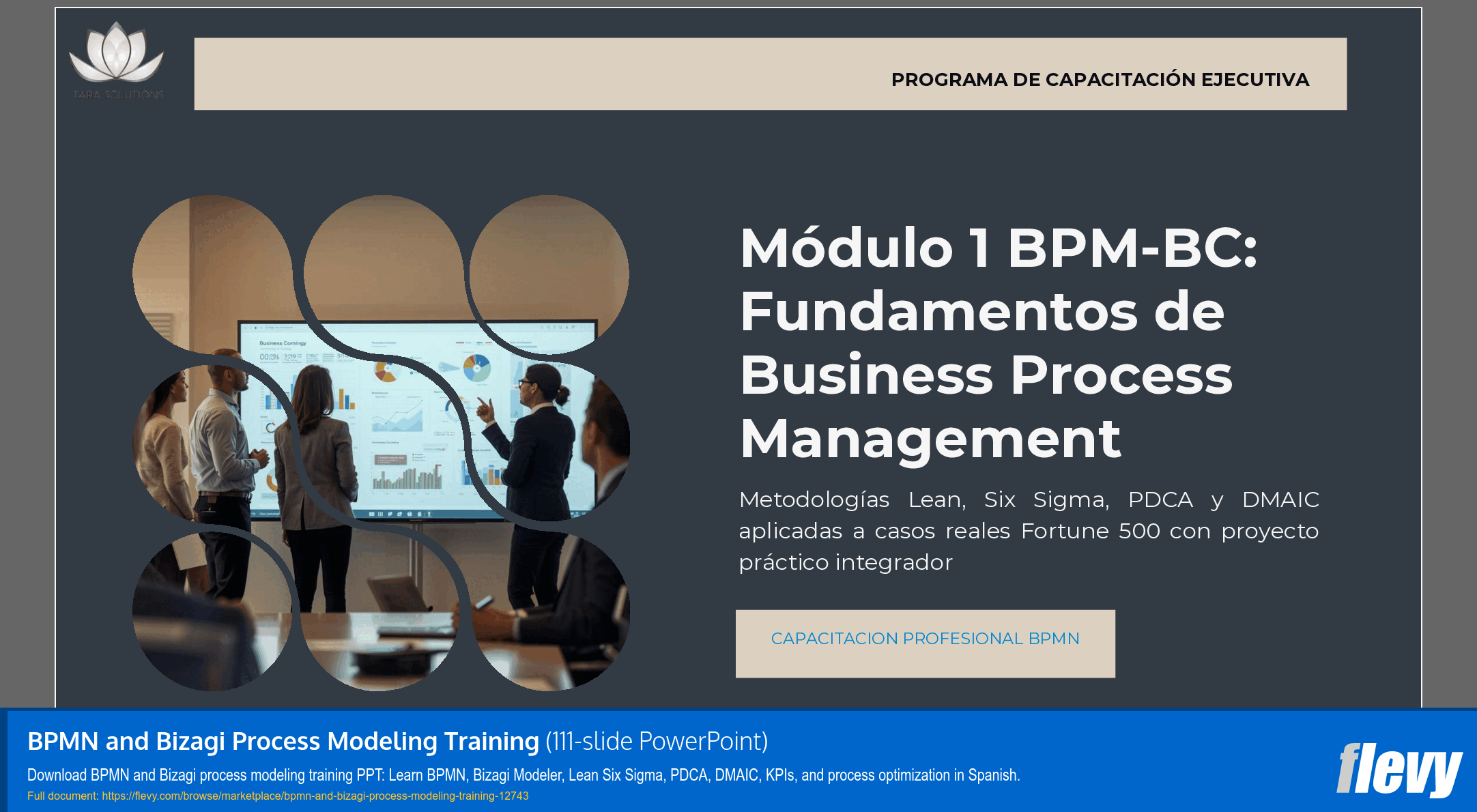 BPMN and Bizagi Process Modeling Training (111-slide PPT PowerPoint presentation template (PPTX)) Preview Image