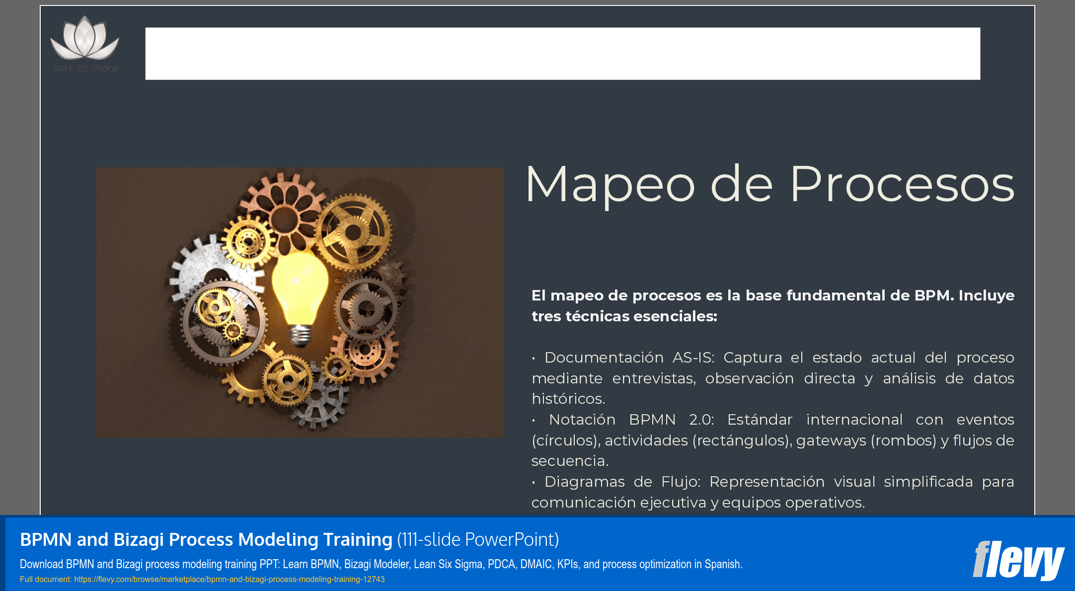 BPMN and Bizagi Process Modeling Training (111-slide PPT PowerPoint presentation template (PPTX)) Preview Image