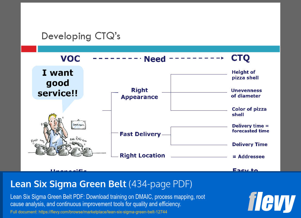 Lean Six Sigma Green Belt (434-page PDF document) Preview Image