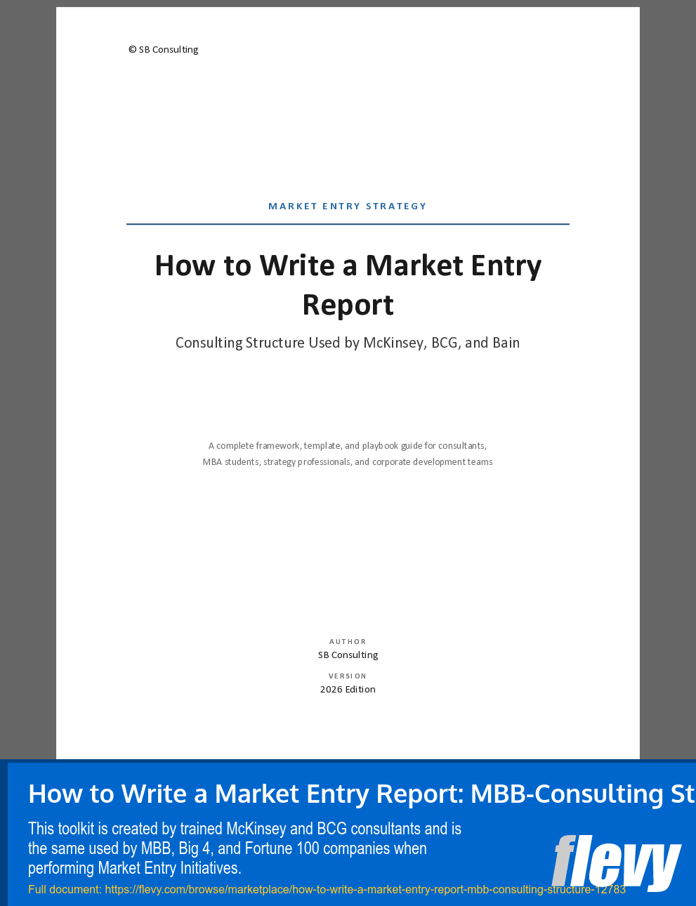 How to Write a Market Entry Report: MBB-Consulting Structure (55-page Word document) Preview Image