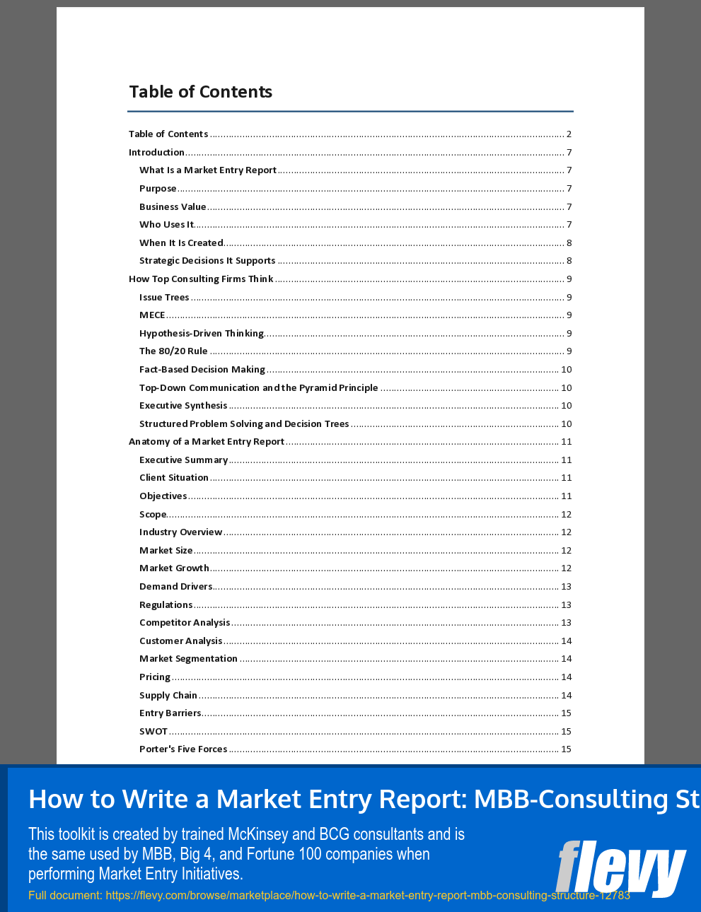 How to Write a Market Entry Report: MBB-Consulting Structure (55-page Word document) Preview Image