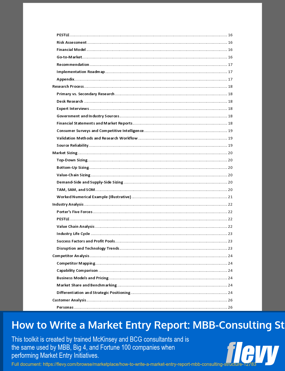 How to Write a Market Entry Report: MBB-Consulting Structure (55-page Word document) Preview Image