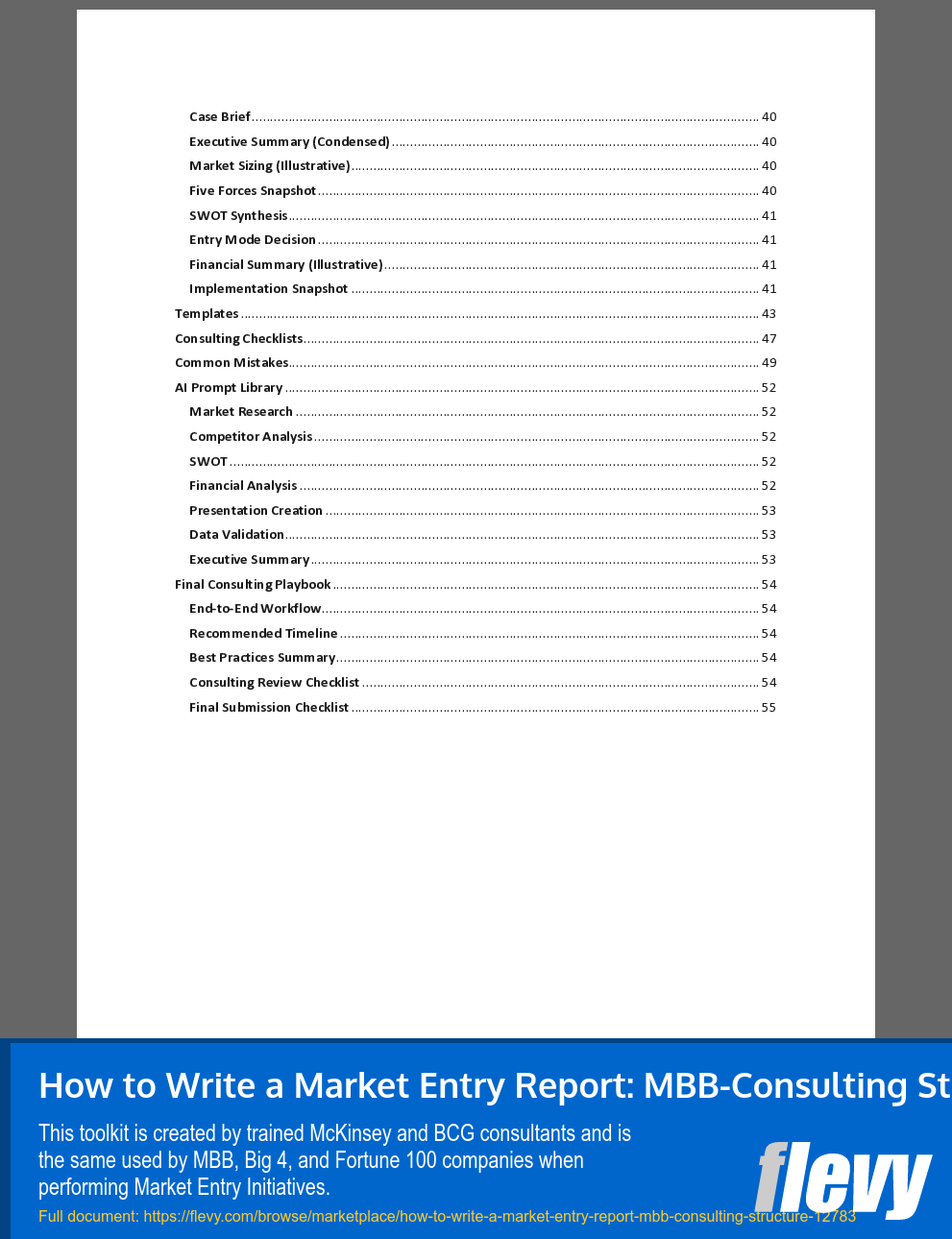 How to Write a Market Entry Report: MBB-Consulting Structure (55-page Word document) Preview Image