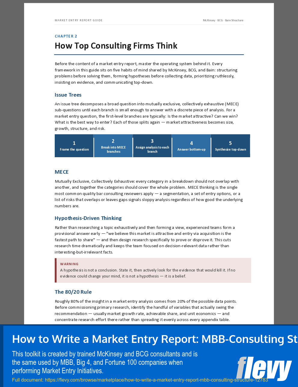How to Write a Market Entry Report: MBB-Consulting Structure (55-page Word document) Preview Image