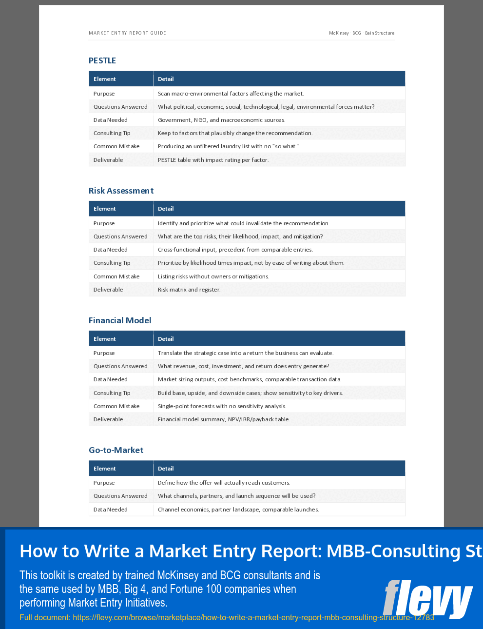 How to Write a Market Entry Report: MBB-Consulting Structure (55-page Word document) Preview Image