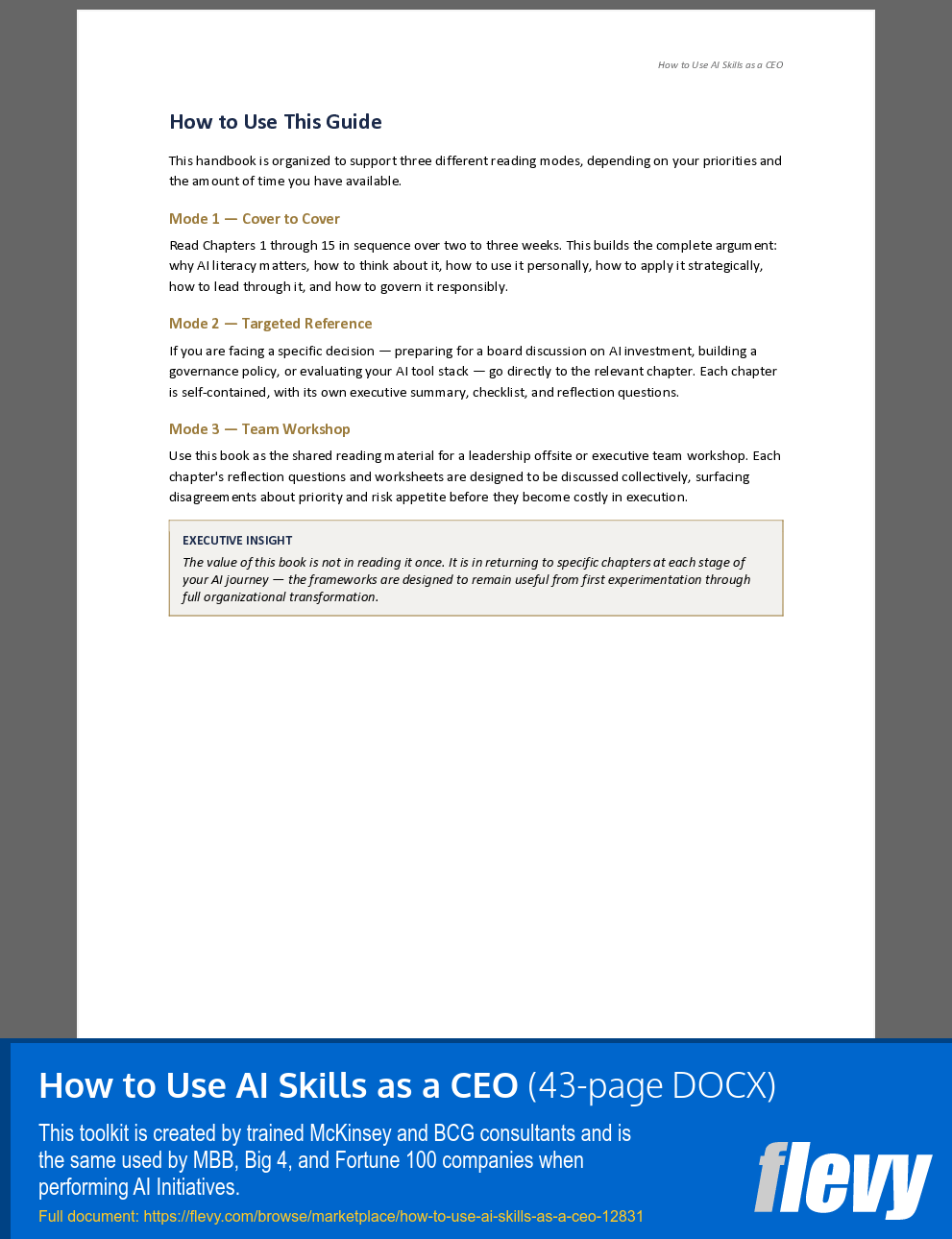 How to Use AI Skills as a CEO (43-page Word document) Preview Image